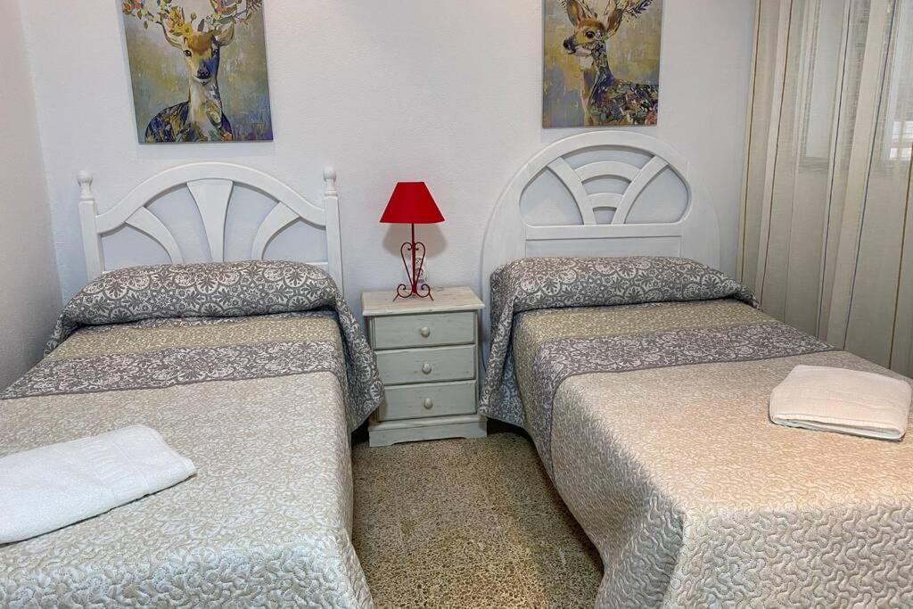 Mirador Playa Caleta Cadiz Centro Grupo Ac Gestion Apartment Ngoại thất bức ảnh